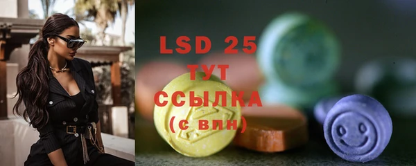 ГАЛЛЮЦИНОГЕННЫЕ ГРИБЫ Ельня