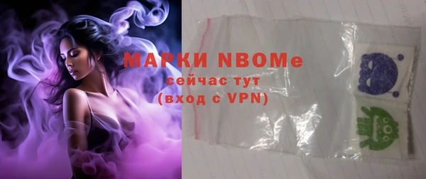 ГАЛЛЮЦИНОГЕННЫЕ ГРИБЫ Ельня