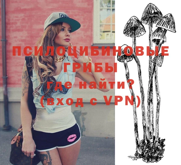 ГАЛЛЮЦИНОГЕННЫЕ ГРИБЫ Ельня