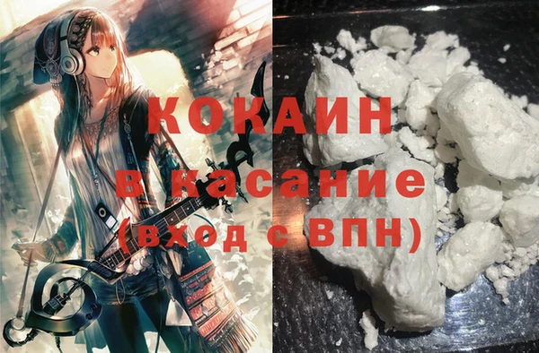 ГАЛЛЮЦИНОГЕННЫЕ ГРИБЫ Ельня