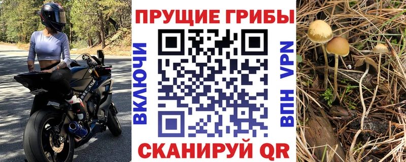 Галлюциногенные грибы Magic Shrooms  Карачаевск 
