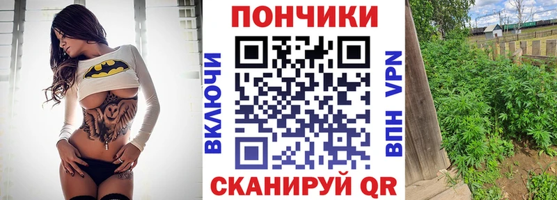 Канабис ГИДРОПОН  Карачаевск 